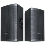 Audiocenter GT510P 10 Pasif Hoparlör