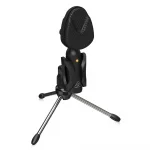 Behringer BV4038 Vintage Waffle Iron USB Mikrofon