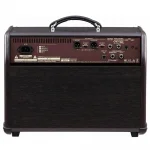 BOSS ACS-PRO Acoustic Singer Pro Amfi