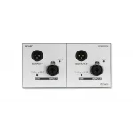 Ecler WP22DN 2x2 Dante™ AES67 PoE Çiftli Conventer Dönüştürücü