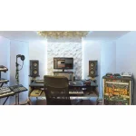 Focal Shape Twin Stüdyo Monitörü (Tek)