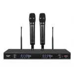 HTDZ HT-99A Çift El Kablosuz Mikrofon Seti 200 kanal Rack Montaj