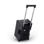 LD Systems ANNY 10BPH 2 B5 Taşınabilir PA Sistemi, Akülü Mobil Hoparlör, Çift Mikrofon