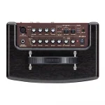 ROLAND AC-22LX Akustik Gitar Amfisi