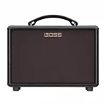 ROLAND AC-22LX Akustik Gitar Amfisi