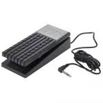 ROLAND EV-5 Expression Pedal