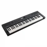 ROLAND GO:KEYS 5 61 Tuş Klavye - Grafit