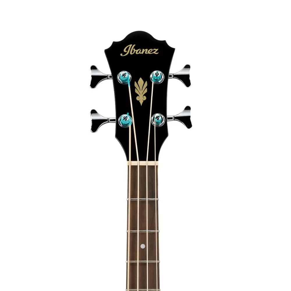 Ibanez aeb8e online