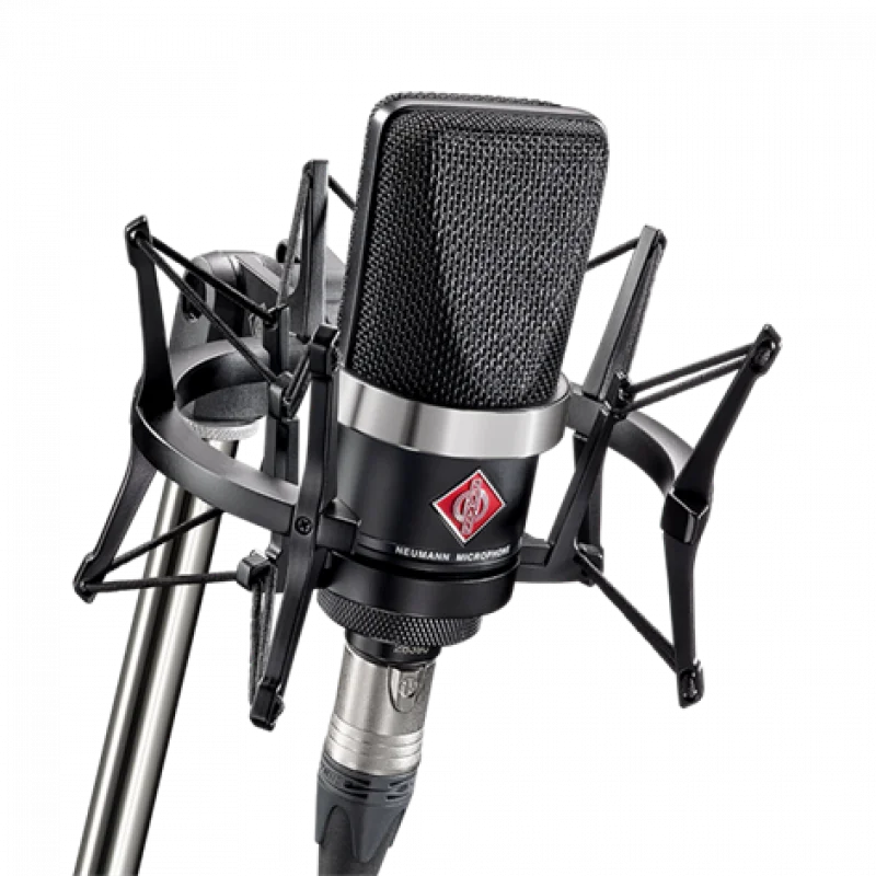Neumann TLM 102 mt Studio Set Geniş Diyafram Mikrofon