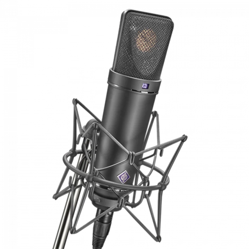 Neumann U 87 Ai mt studio set Kondenser Stüdyo Mikrofonu Seti (1 × U 87 Ai mt + EA 87, Siyah)