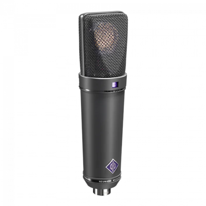 Neumann U 89 i mt Kondenser Stüdyo Mikrofonu (Siyah)