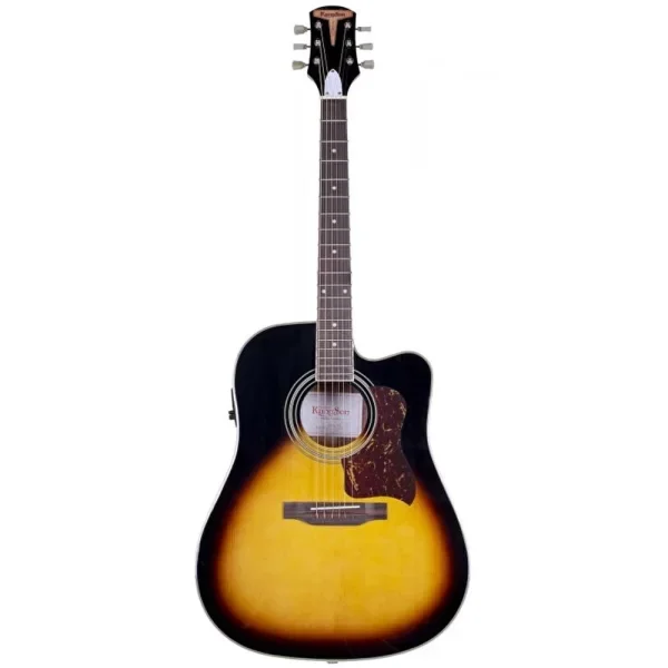 Elektro Akustik Gitar