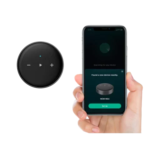 Streamer/Network Player