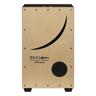 ROLAND EC-10 - El Cajon Elektronik Cajon