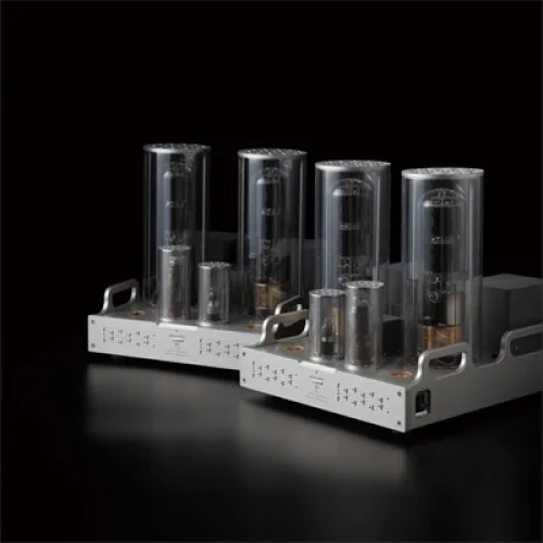 Allnic Audio A 10000 DHT Lambalı Mono Güç Power Amfiü