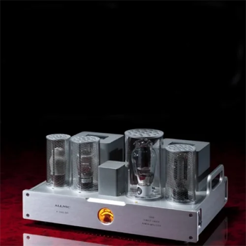 Allnic Audio A 5000 DHT Lambalı Mono Güç Power Amfiü