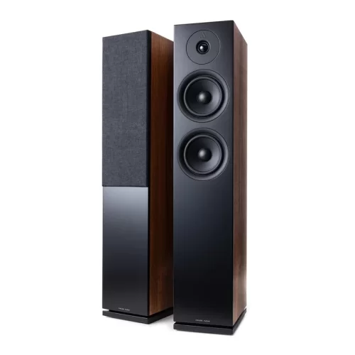 Argon Audio FORUS 55 Pasif Hopalör (Ceviz)