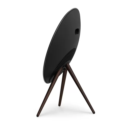 Bang & Olufsen Beosound A9 Multiroom Kablosuz Hoparlör