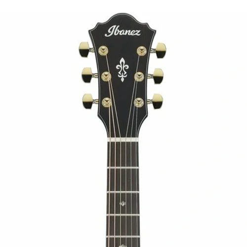 Ibanez AE340FMH-MHS Elektro Akustik Gitar