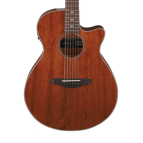 Ibanez AEG220-LGS AEG Serisi Elektro Akustik Gitar