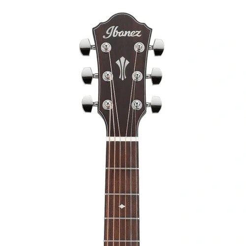Ibanez AEG220-LGS AEG Serisi Elektro Akustik Gitar