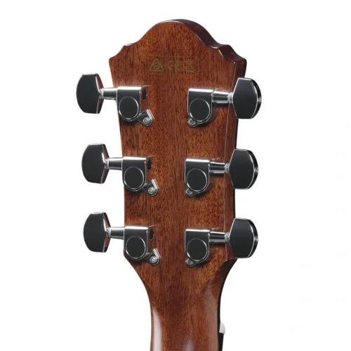 Ibanez AEG220-LGS AEG Serisi Elektro Akustik Gitar