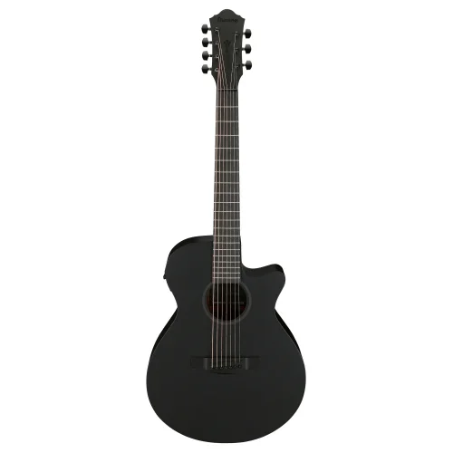 Ibanez AEG721-BOT 7 Telli Elektro Akustik Gitar