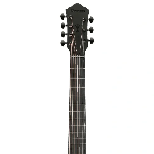 Ibanez AEG721-BOT 7 Telli Elektro Akustik Gitar