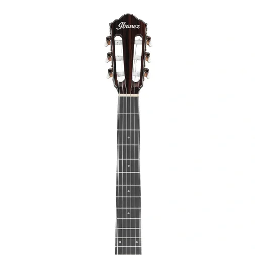 Ibanez AEG74N-MHS Elektro Akustik Gitar