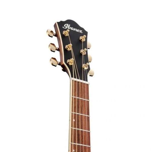 Ibanez AEWC12-PMF Elektro Akustik Gitar