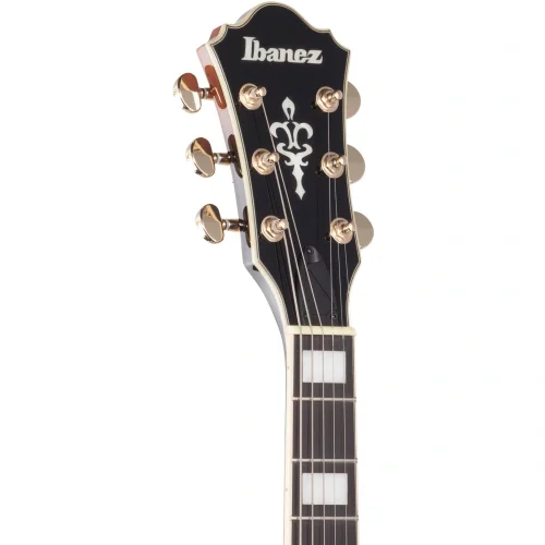 IBANEZ AG95QA-DBS AG Elektro Gitar