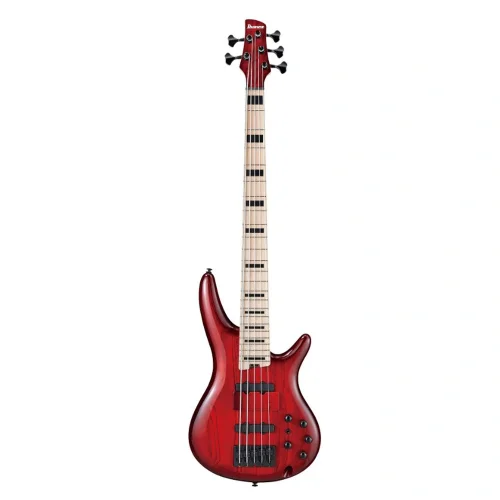Ibanez ANB205-TWB Adam Nitti Signature Serisi 5 Telli Bas Gitar