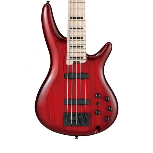 Ibanez ANB205-TWB Adam Nitti Signature Serisi 5 Telli Bas Gitar