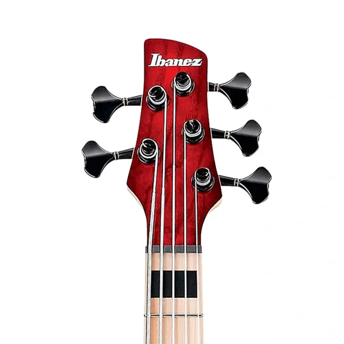 Ibanez ANB205-TWB Adam Nitti Signature Serisi 5 Telli Bas Gitar