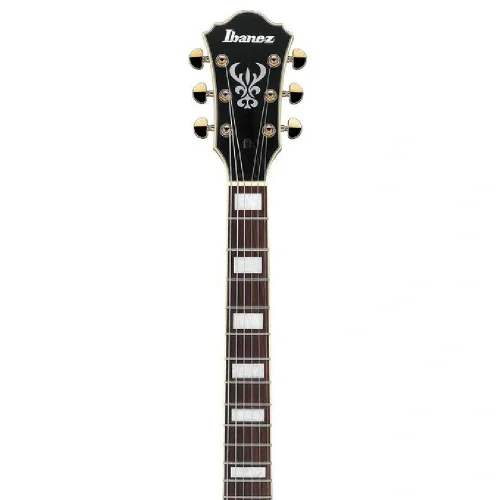 Ibanez AS73G-MSF Elektro Gitar