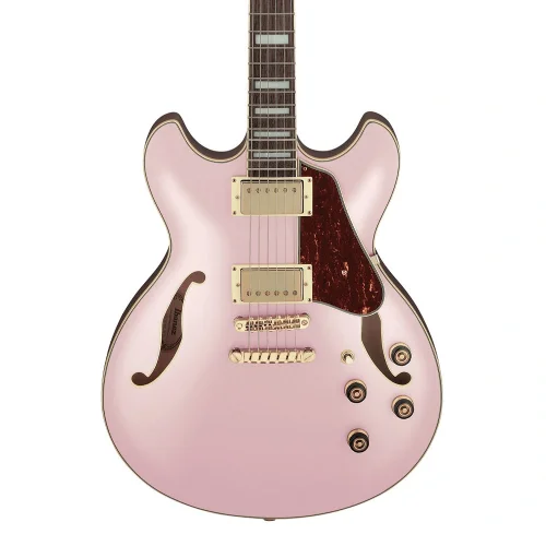 IBANEZ AS73G-RGF Elektro Gitar