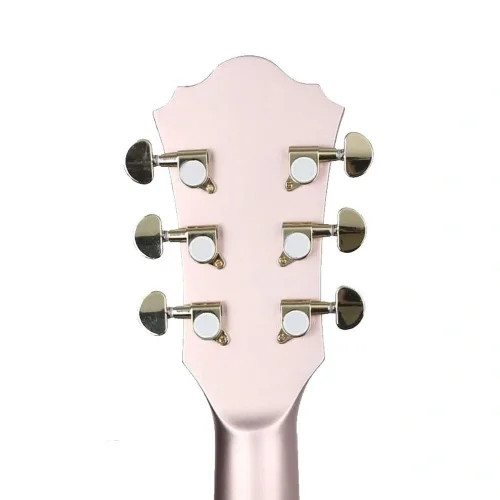 IBANEZ AS73G-RGF Elektro Gitar