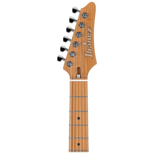 IBANEZ AZ2204B-BK AZ Prestige Serisi Elektro Gitar (Case Dahil)