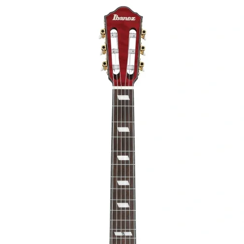 Ibanez FRH20QMN-WRL Elektro Gitar