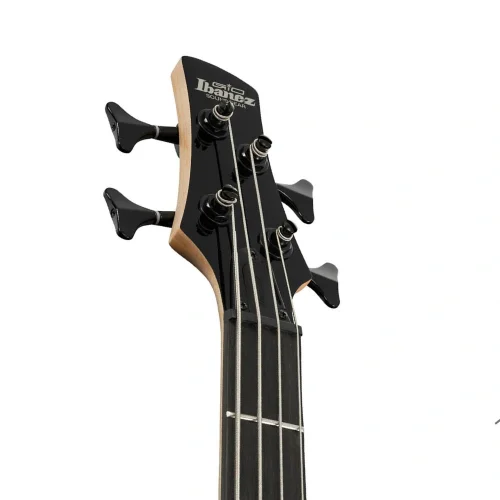 IBANEZ GSR280QA-TMS Bas Gitar