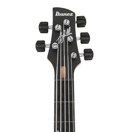 Ibanez GWB25TH-SWF Bas Gitar