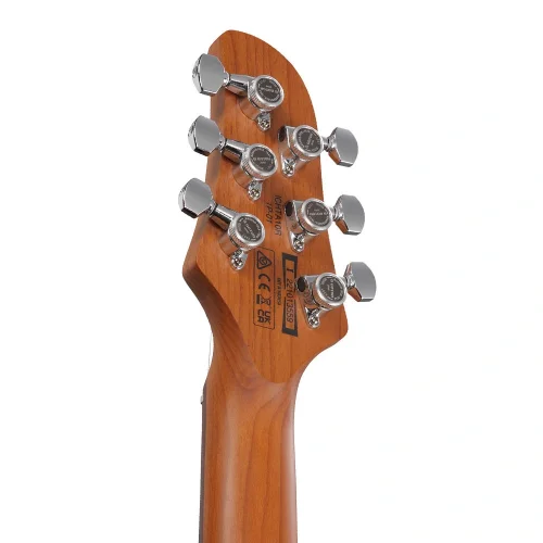 Ibanez ICHI00-VWM Ichika Signature Elektro Gitar