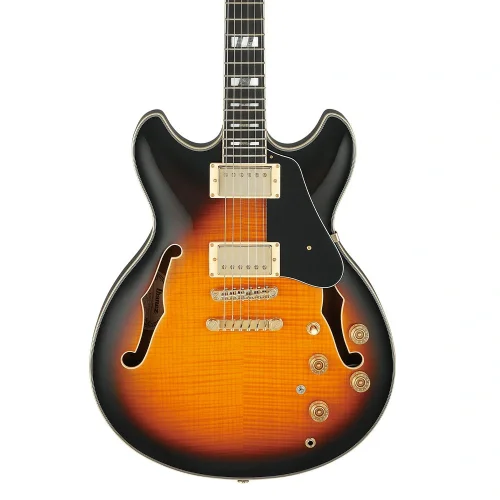 IBANEZ JSM10-VYS Elektro Gitar (Case Dahil)