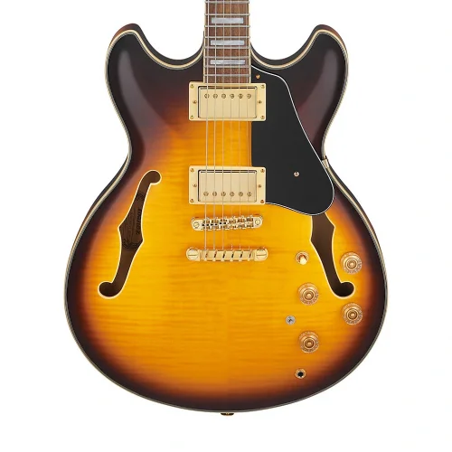 Ibanez JSM10EM-TTM John Scofield Signature Serisi Hallow Body Elektro Gitar