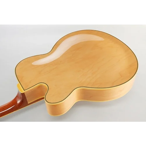 IBANEZ Pat Metheny PM200 NT Elektro Gitar Case Dahi