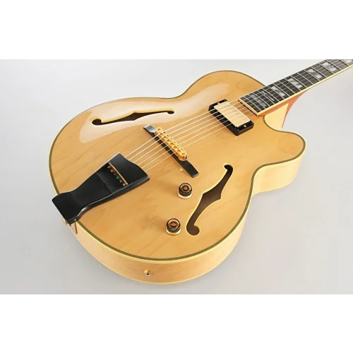 IBANEZ Pat Metheny PM200 NT Elektro Gitar Case Dahi