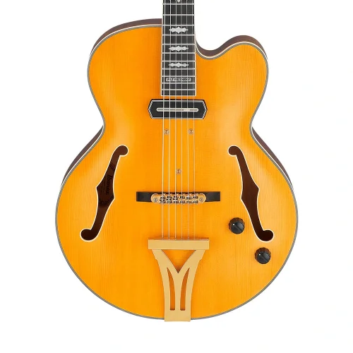 Ibanez PM3C-NAL Pat Metheny Signature Natürel Hollow Body Elektro Gitar