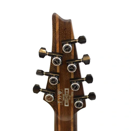 IBANEZ RGD71ALMS-BAM  7 Telli Elektro Gitar