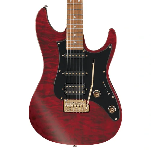 IBANEZ SLM10-TRM Signature Serisi Elektro Gitar