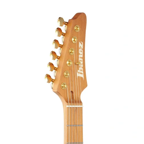 IBANEZ SLM10-TRM Signature Serisi Elektro Gitar